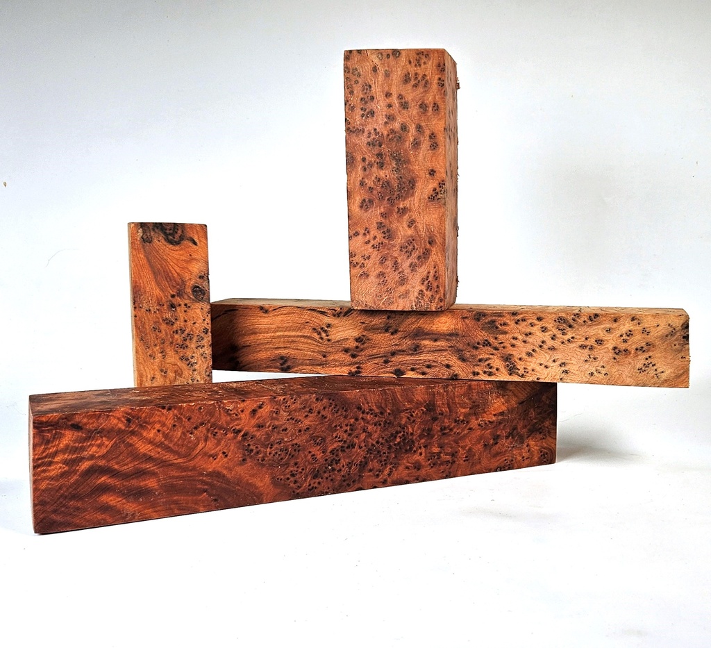 Thuja burl