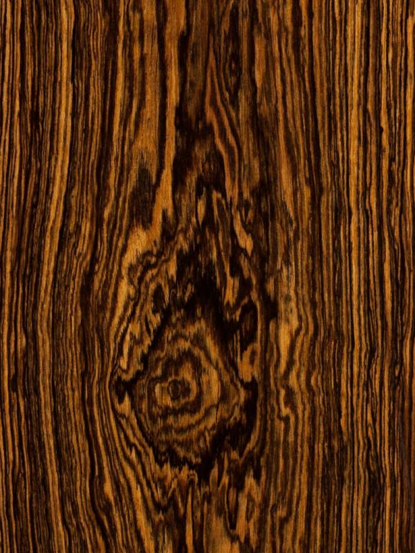 Bocote