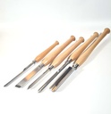 CARP 5-piece starter chisel set